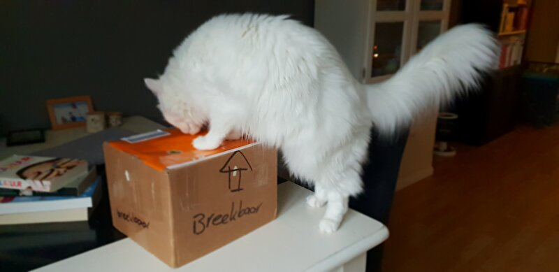 Afbeelding