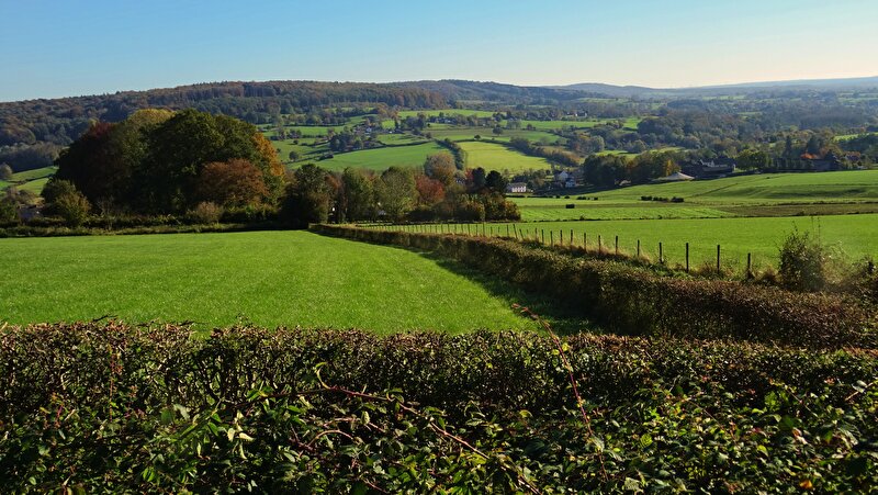 Afbeelding