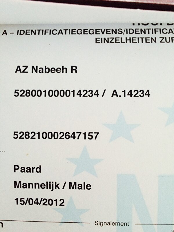Afbeelding