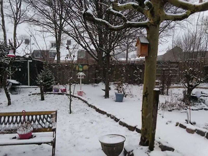 Afbeelding