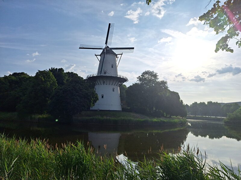 Afbeelding