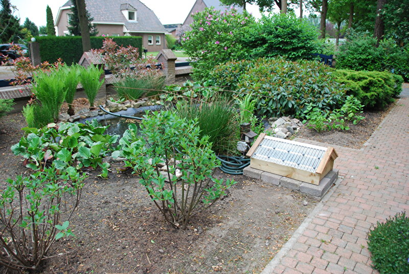 Afbeelding