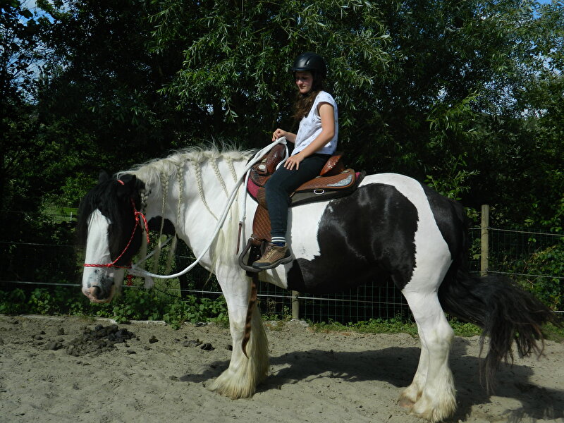 Afbeelding