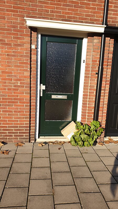 Afbeelding