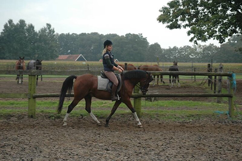 Afbeelding