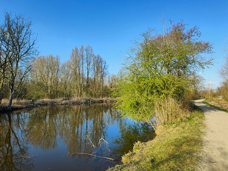 Afbeelding