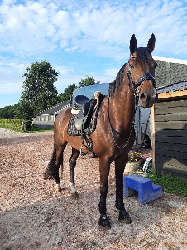 Afbeelding