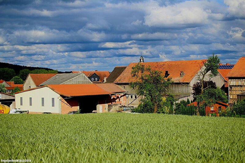 Afbeelding