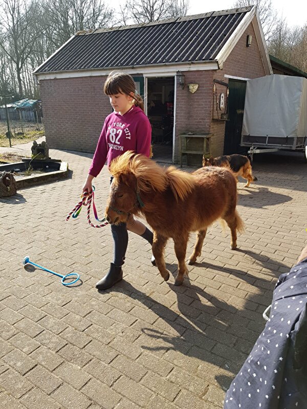 Afbeelding