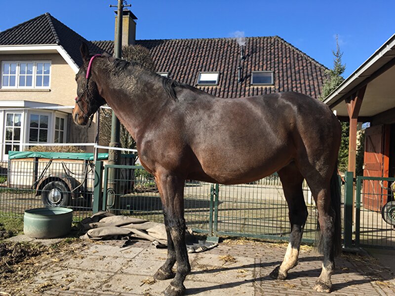 Afbeelding