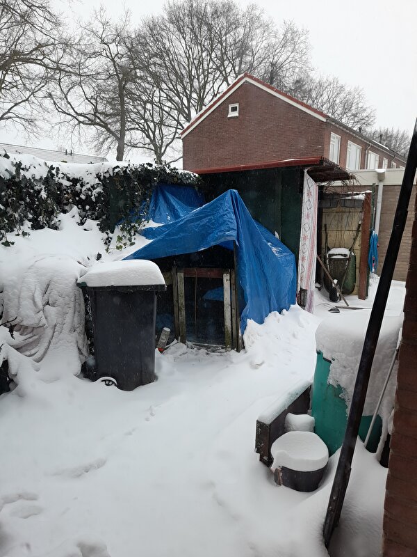 Afbeelding