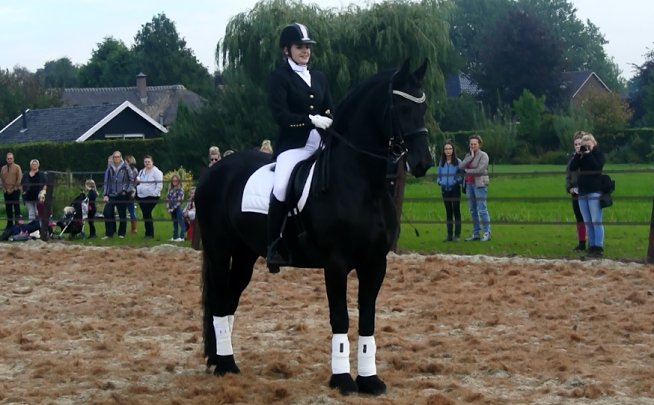 Afbeelding