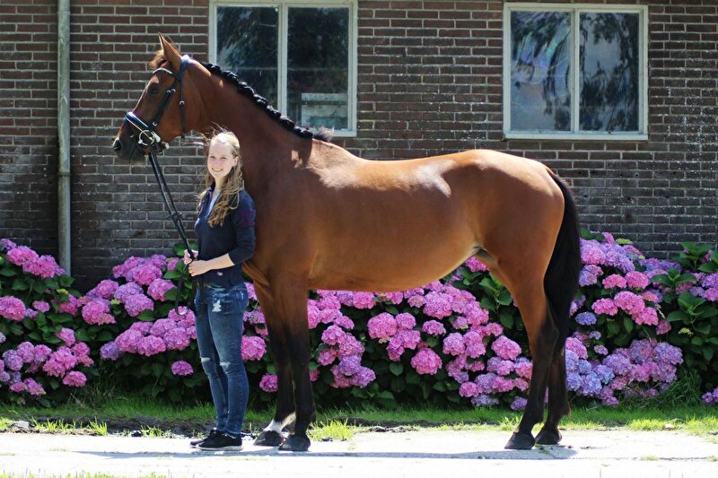 Afbeelding