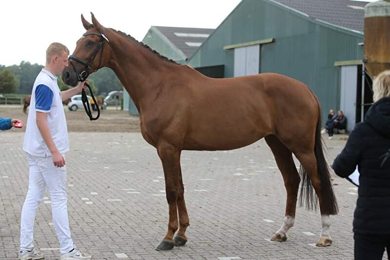 Afbeelding