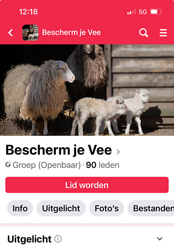 Afbeelding