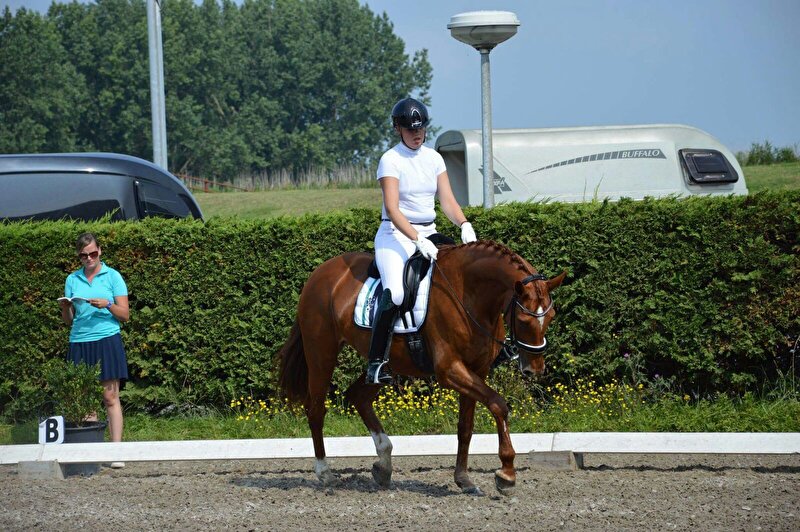 Afbeelding