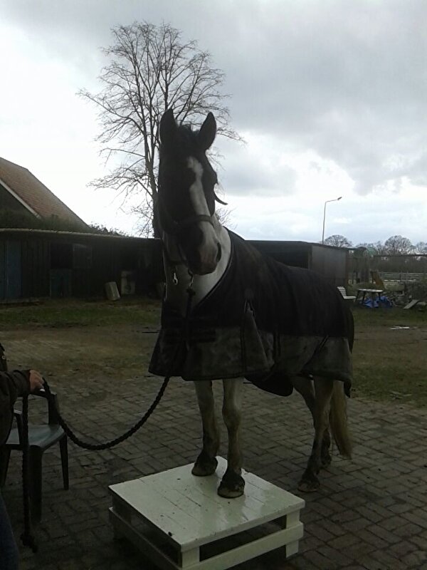 Afbeelding