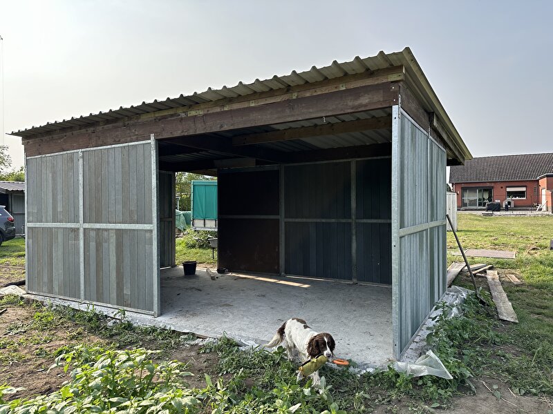 Afbeelding