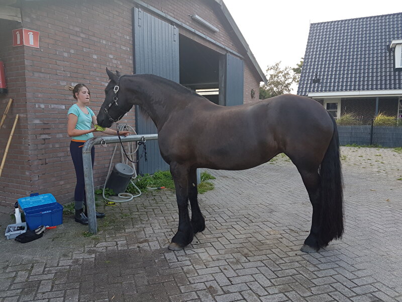 Afbeelding