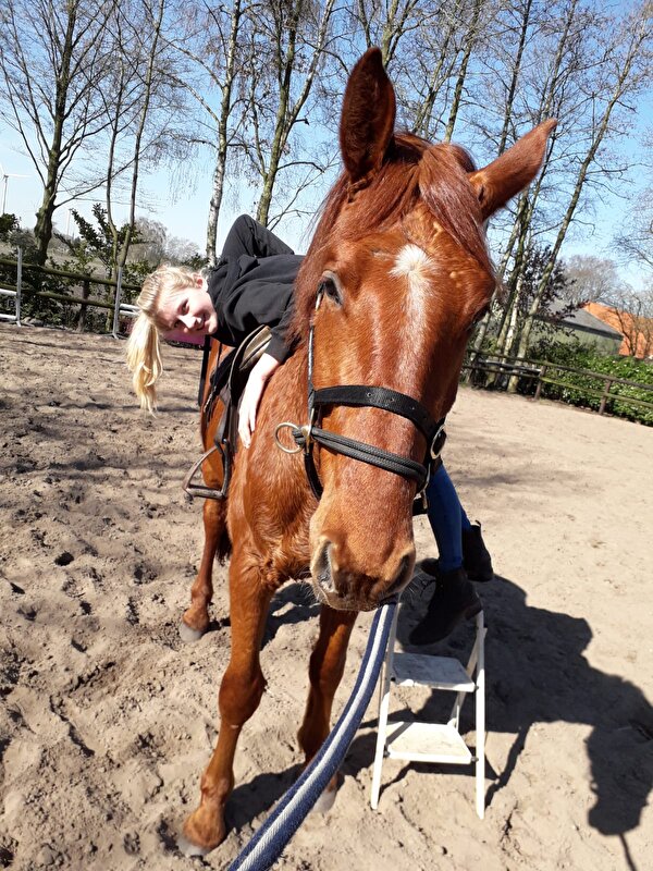 Afbeelding