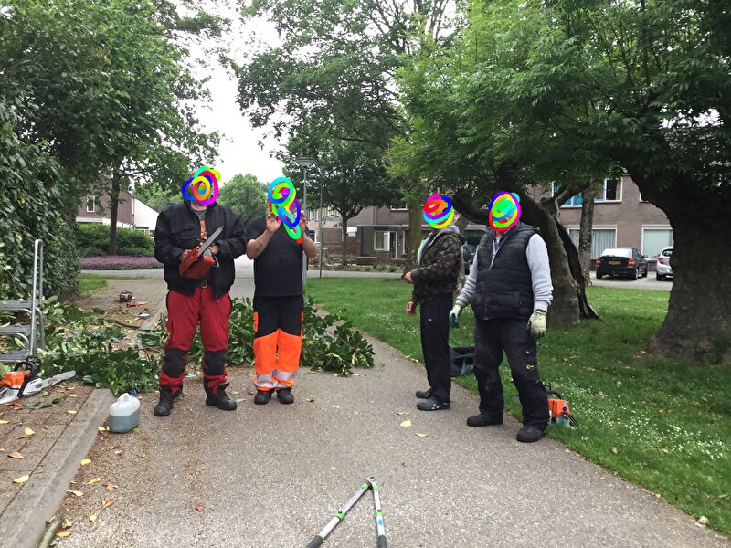 Afbeelding