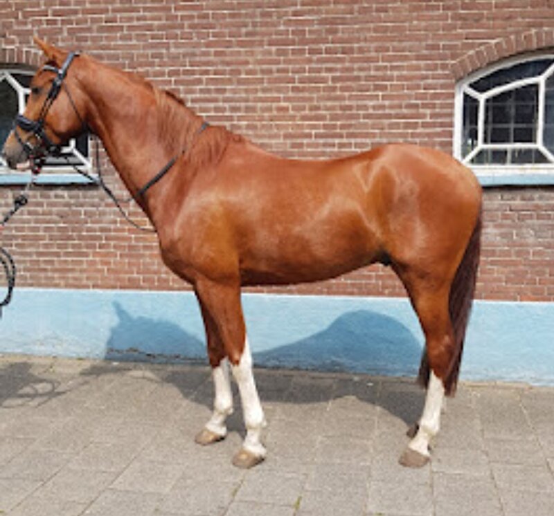 Afbeelding