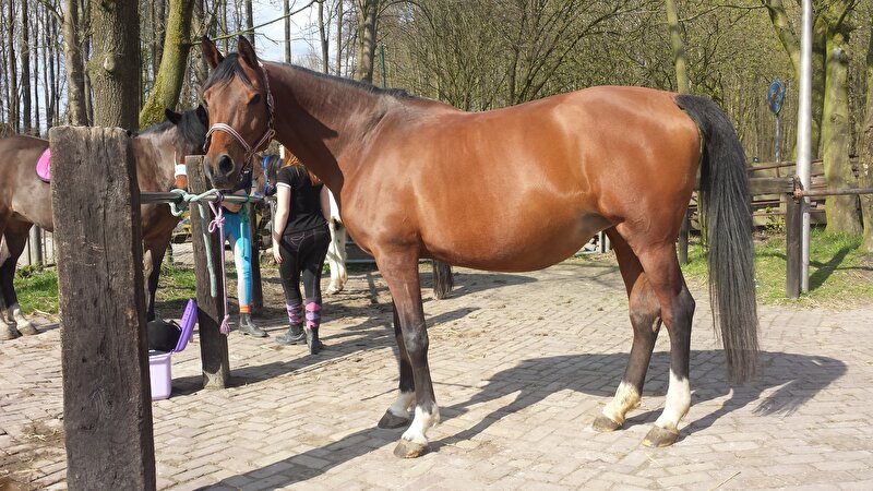 Afbeelding