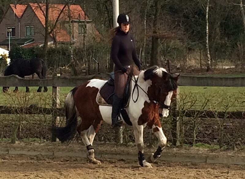 Afbeelding