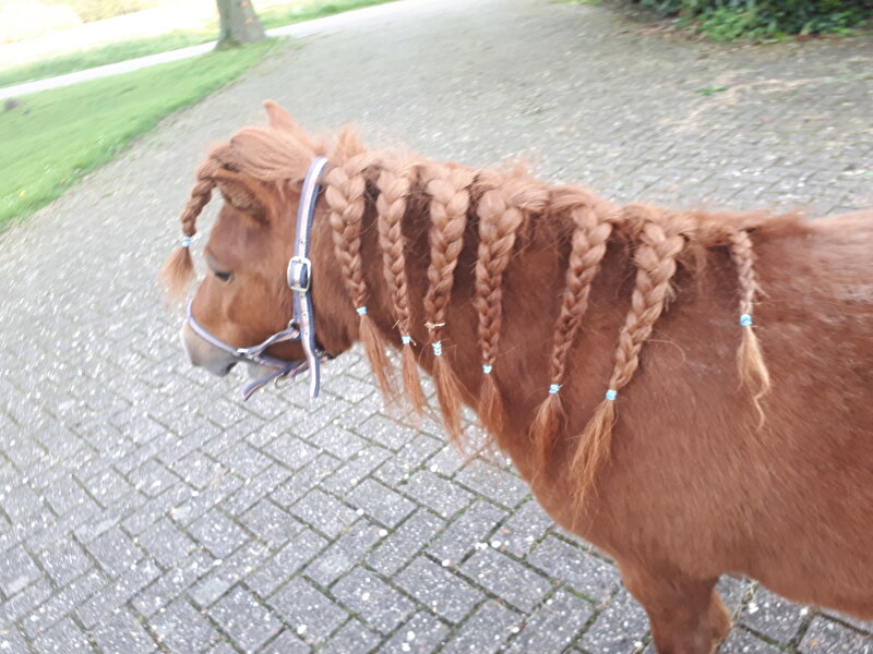 Afbeelding