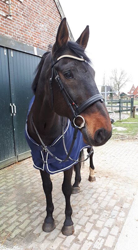 Afbeelding