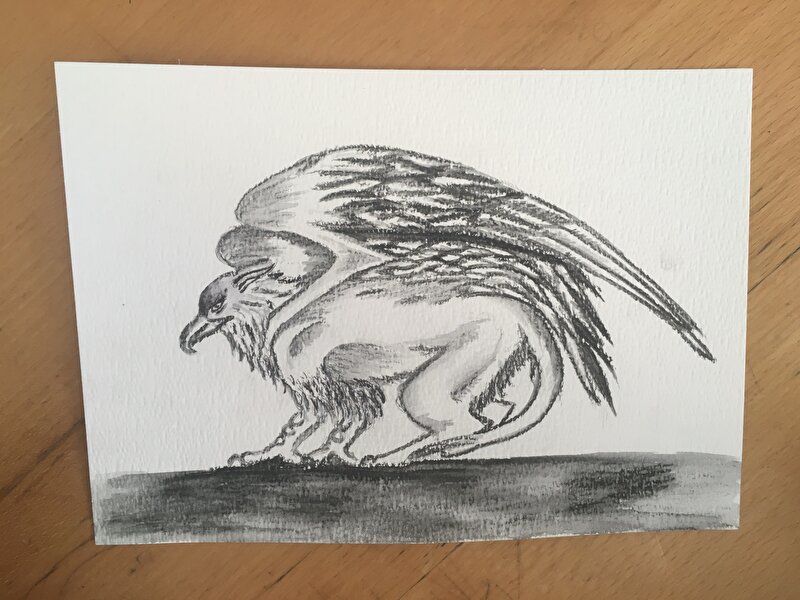 Afbeelding