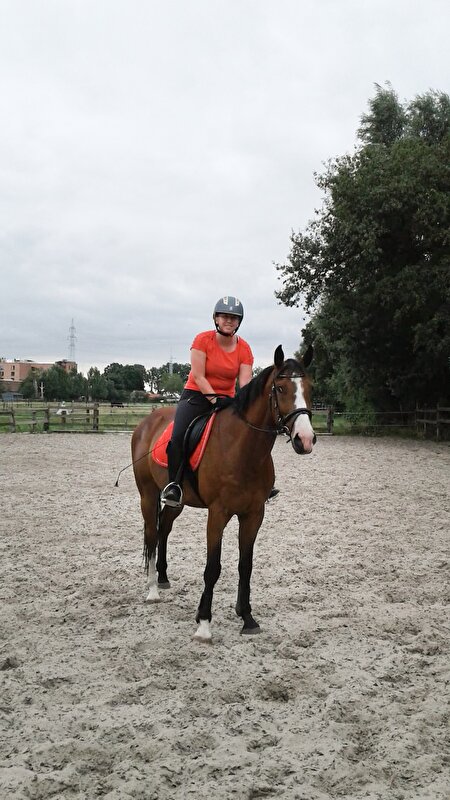 Afbeelding