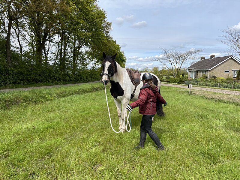 Afbeelding