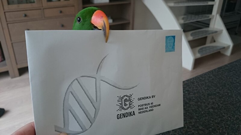 Afbeelding