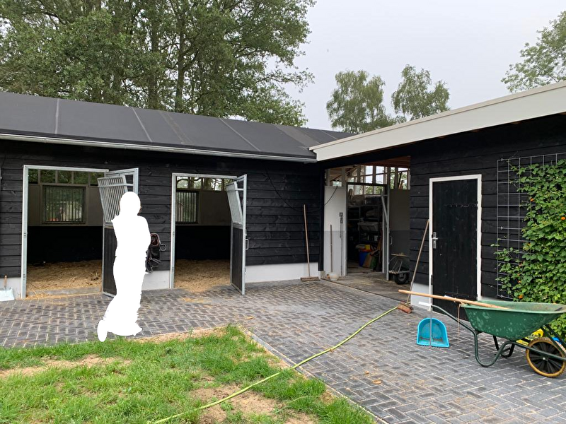 Afbeelding