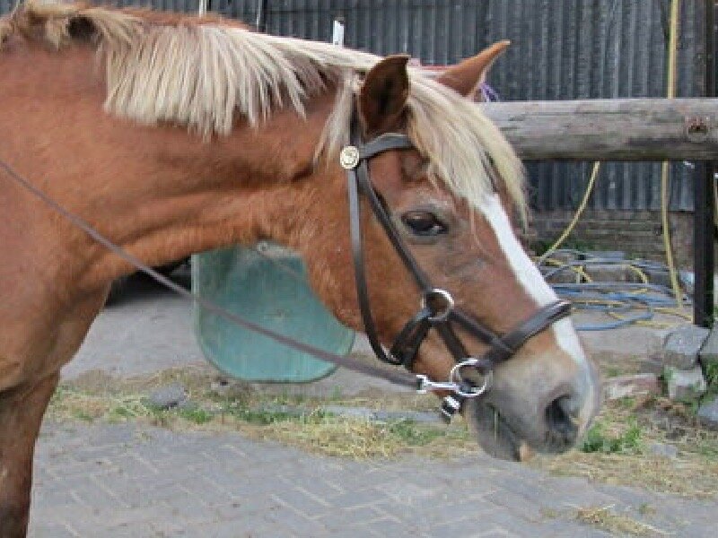 Afbeelding