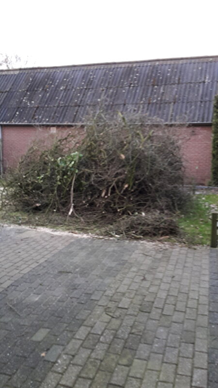 Afbeelding