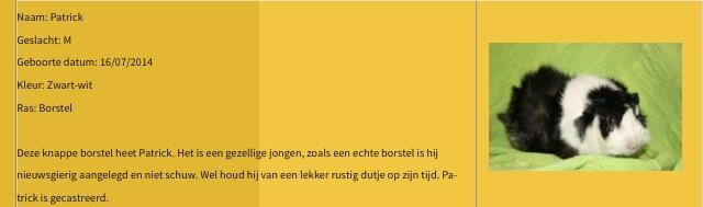 Afbeelding