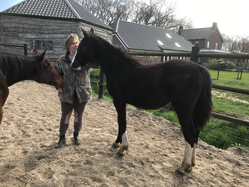 Afbeelding