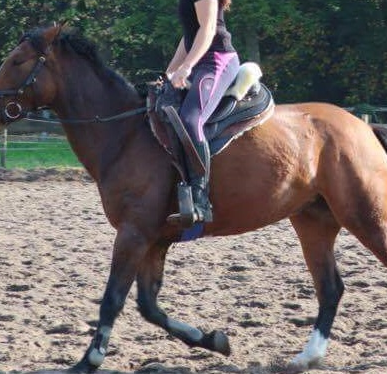Afbeelding