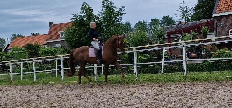 Afbeelding