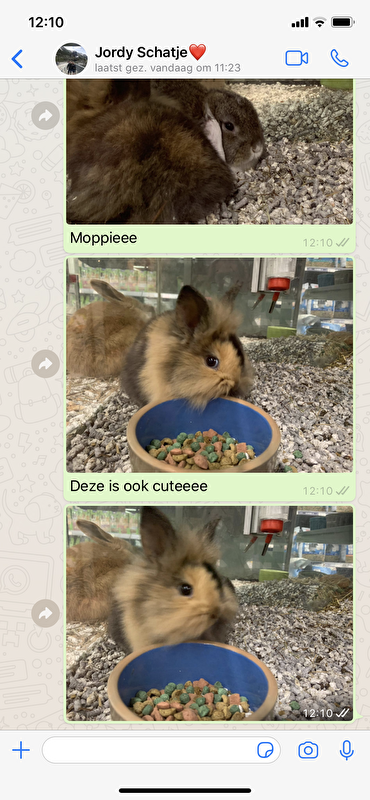 Afbeelding