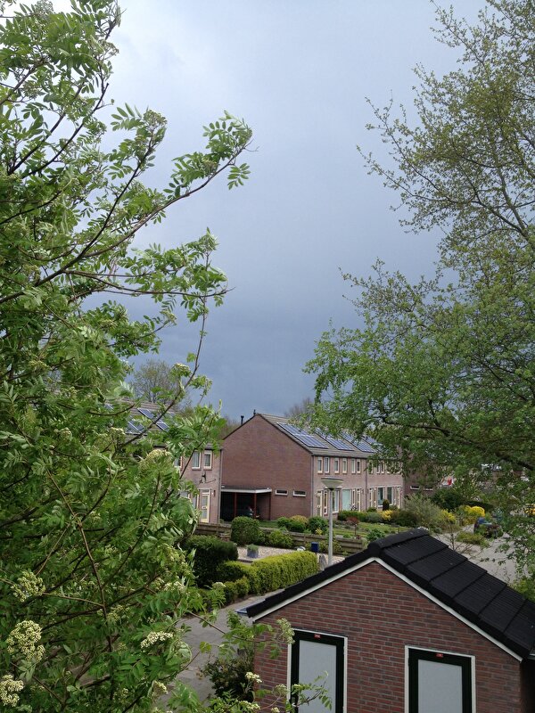 Afbeelding