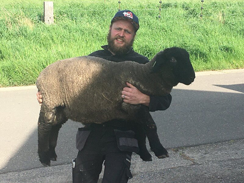 Afbeelding