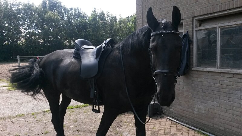 Afbeelding