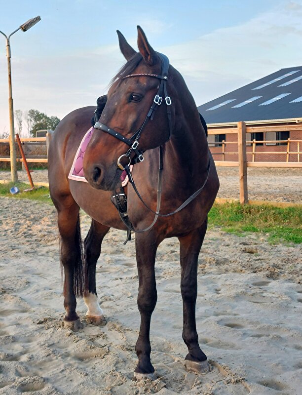Afbeelding