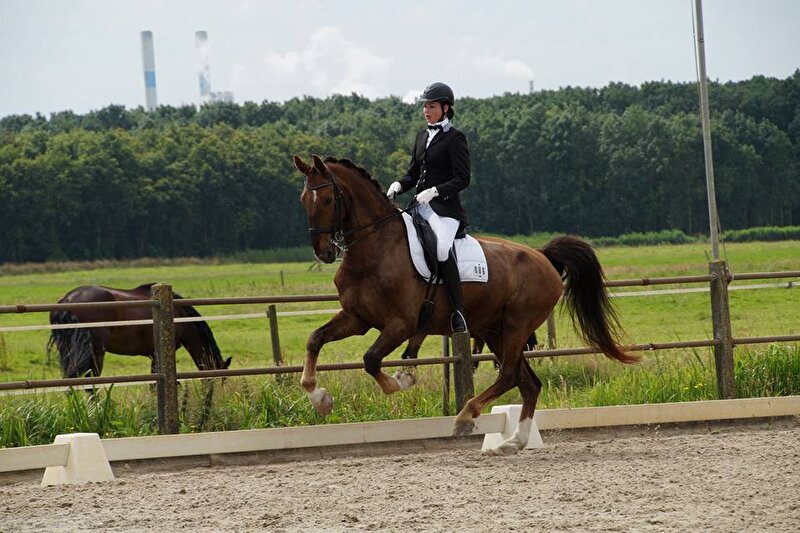 Afbeelding