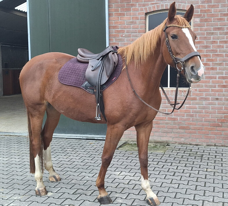 Afbeelding