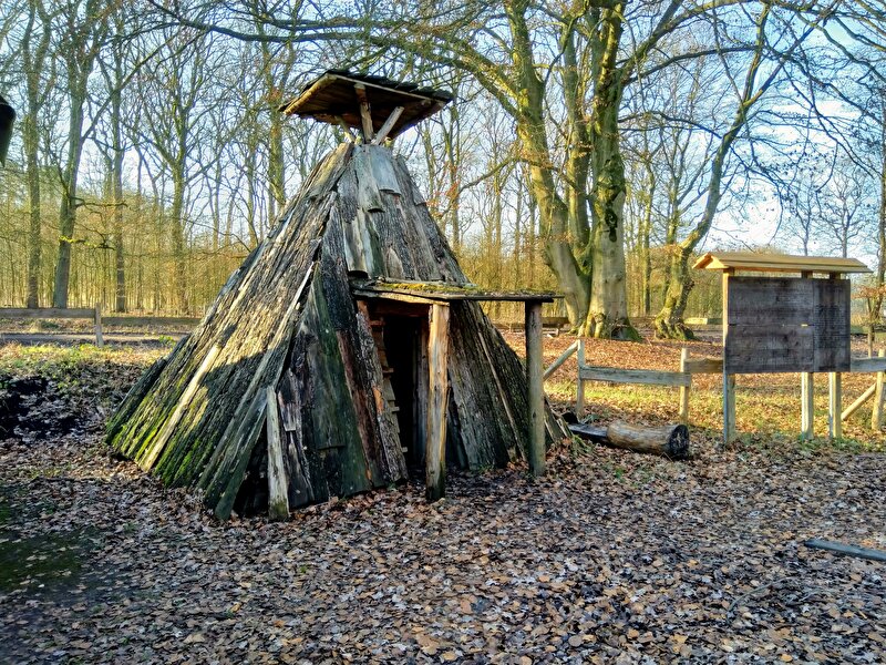 Afbeelding