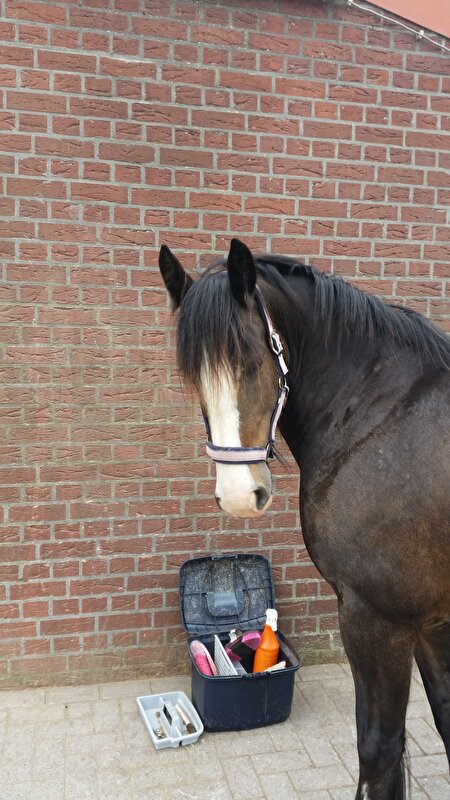 Afbeelding